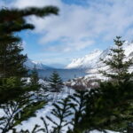 Tromsø: Express Fjord Road Trip - An In-Depth Look at the Tromsø Fjord Trip
