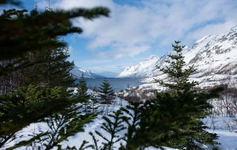 Tromsø: Express Fjord Road Trip - An In-Depth Look at the Tromsø Fjord Trip