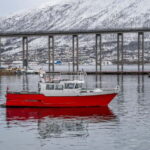 Tromsø: Fishing Sea Safari - A Detailed Look at the Tromsø Fishing Sea Safari