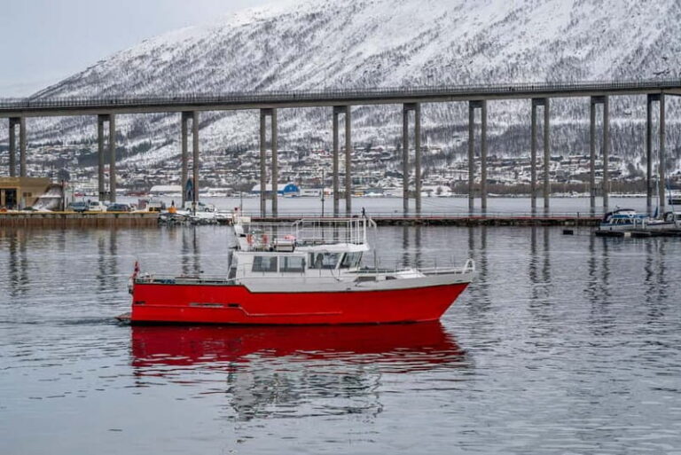 Tromsø: Fishing Sea Safari - A Detailed Look at the Tromsø Fishing Sea Safari