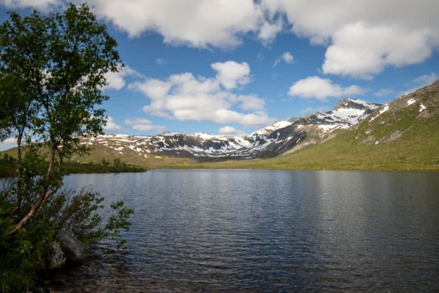 Tromsø: Fjord Adventure with Lunch and Photos - The Practicalities: What You Need to Know