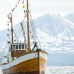 Tromsø: Fjord Fishing Cruise - An in-depth look at the Tromsø Fjord Fishing Cruise