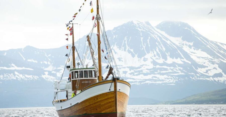 Tromsø: Fjord Fishing Cruise - An in-depth look at the Tromsø Fjord Fishing Cruise