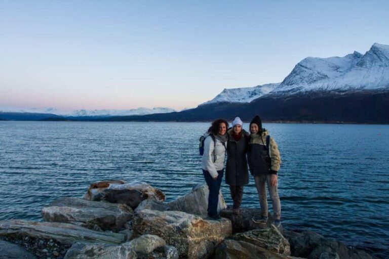 Tromsø: Fjord tour in a minibus and fish soup at Sommarøy - Scenic Highlights and Stops