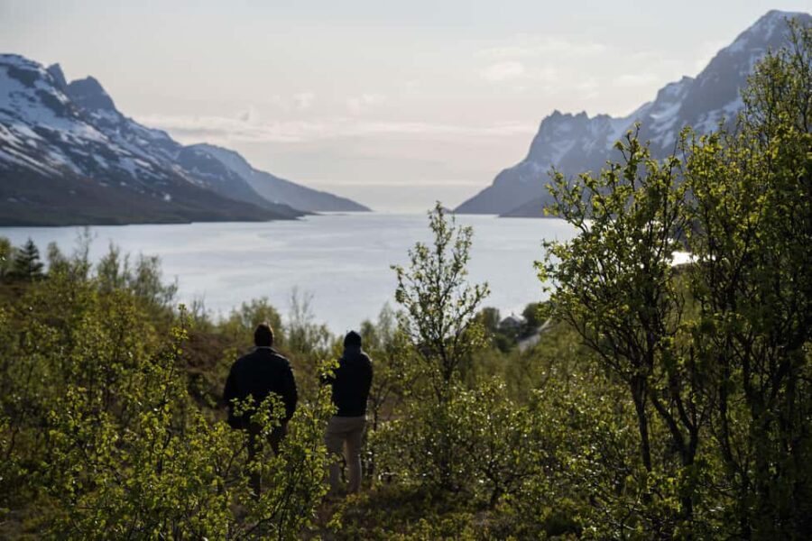 Tromsø: Fjord Tour to Sommarøy with Expert Spanish-speaking Guide - A Deep Dive into the Fjord Tour to Sommarøy
