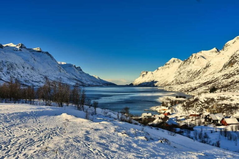 Tromsø: Fjords and Sommarøy Tour with Warm Local Lunch - What the Tour Includes and How It Works