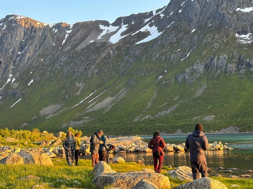 Tromsø: Fjords and Wildlife Tour in a Minibus - Exploring Tromsø’s Fjords and Wildlife: What You Can Expect