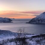 Tromsø: Fjords Tour with campfire and photos - Who Will Enjoy This Experience?