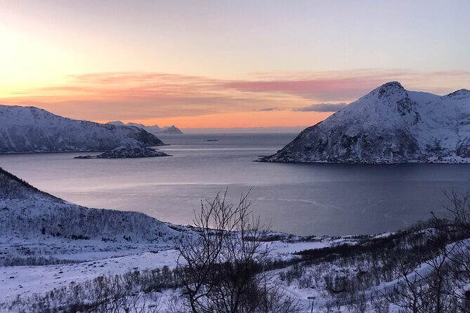 Tromsø: Fjords Tour with campfire and photos - Who Will Enjoy This Experience?