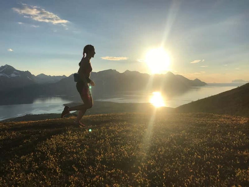 Tromsø: Guided Hiking Tour with Roundtrip Transfers - Detailed Breakdown of the Tour