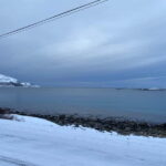 Tromsø Half-Day Tour: Fjords & Sommarøy Adventure - What Makes This Tour Stand Out?