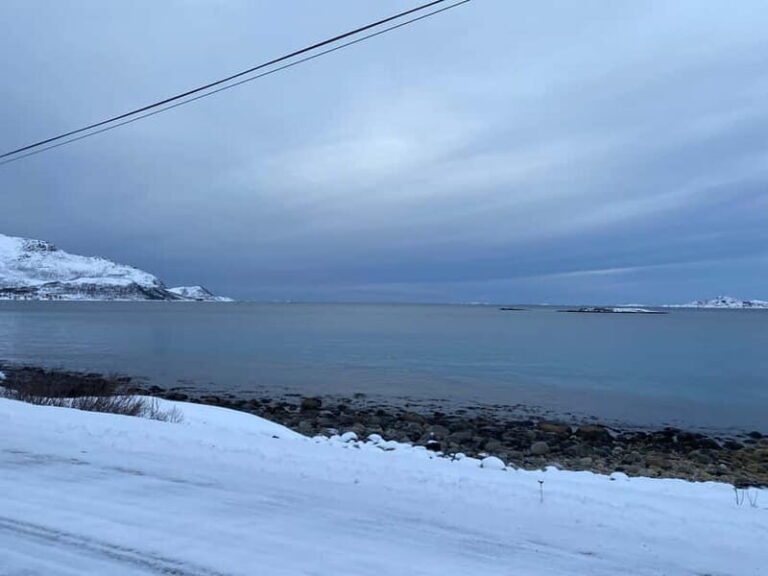 Tromsø Half-Day Tour: Fjords & Sommarøy Adventure - What Makes This Tour Stand Out?