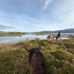 Tromsø: Horseback Riding Tour vinter/summer - A Detailed Look at the Horseback Riding Experience in Tromsø