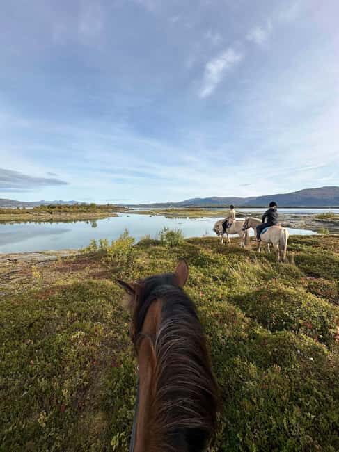 Tromsø: Horseback Riding Tour vinter/summer - A Detailed Look at the Horseback Riding Experience in Tromsø