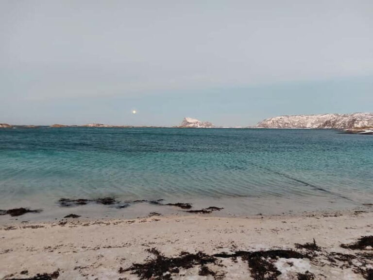 Tromsø: Island of Kvaløya Scenic Sightseeing Minibus Tour - A Visit to Sommerøya and Hillesøya