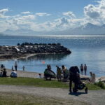 Tromsø: Island Tour with Tromsø Accessible Tours - A Detailed Look at the Tromsø Island Tour
