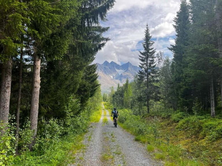 Tromsø: Lyngen Alps Electric Mountain Bike Tour - Why This Tour Might Be Perfect for You