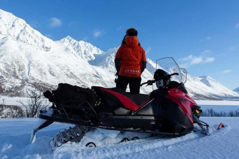 Tromsø: Lyngen Alps Snowmobile Adventure with Lunch - Is This Tour Worth It?