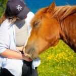 Tromsø: Lyngen Horse Summer Evening Riding Experience - Detailed Breakdown of the Itinerary
