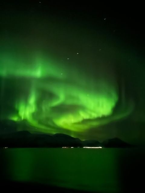 Tromsø: Lyngen Horse Winter Evening Riding Experience - Exploring the Itinerary in Detail