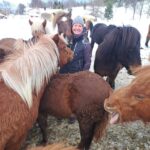 Tromsø: Lyngen Horse Winter Riding Experience - The Itinerary in Detail