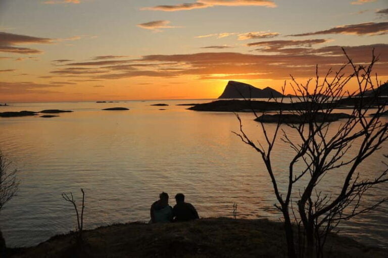Tromsø: Midnight Sun, Campfire, Beach, Evening Tour - Practical Details & Considerations