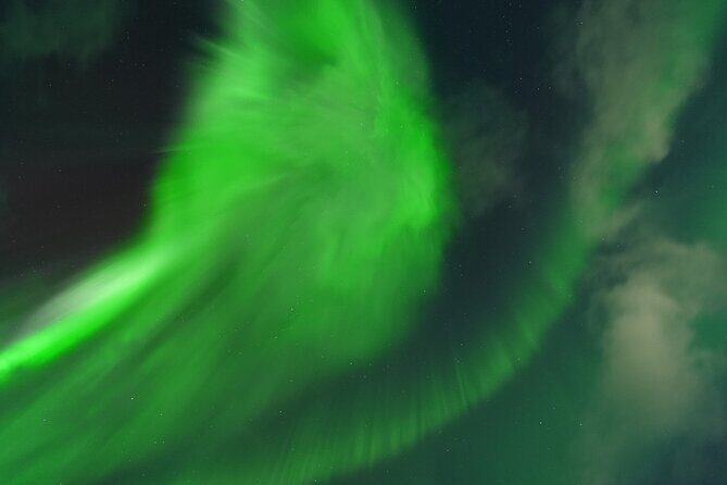 Tromsø: Northern Light tour with free complimentary photos. - The Sum Up
