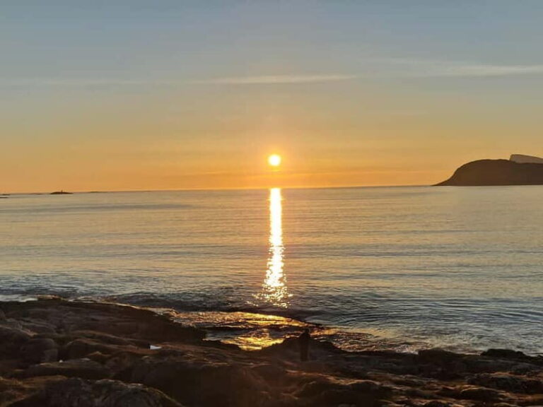 Tromsø: Northern Lights Adventure in Tromsø with Free Photos - Exploring Tromsø’s Northern Lights Tour in Detail