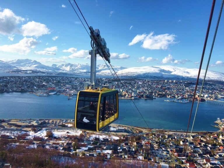 Tromso: Northern Lights Cable Car Excursion - Who Should Consider This Tour?