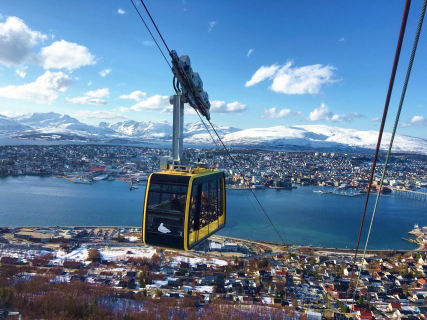 Tromso: Northern Lights Cable Car Excursion - Who Should Consider This Tour?