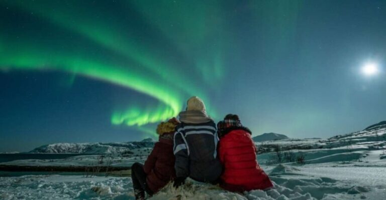 Tromsø: Northern Lights Guided Bus Tour - The Value for Your Money