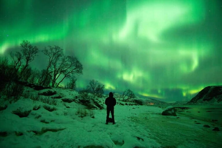 Tromsø: Northern Lights Hunt with Professional Photographer in Italian - Breaks Down to Value and Authenticity