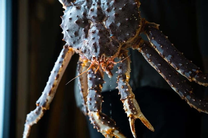 Tromsø: Northern Lights Live King Crab Dinner by the Sea - Starting Point and Transportation