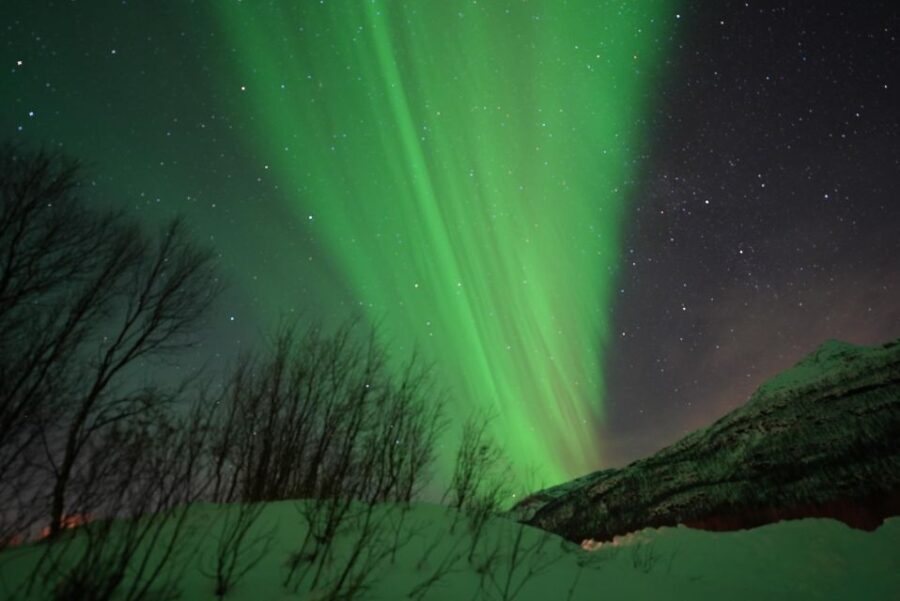 Tromsø: Northern Lights Minibus Small Private Tour Group - Practical Tips for Your Northern Lights Adventure