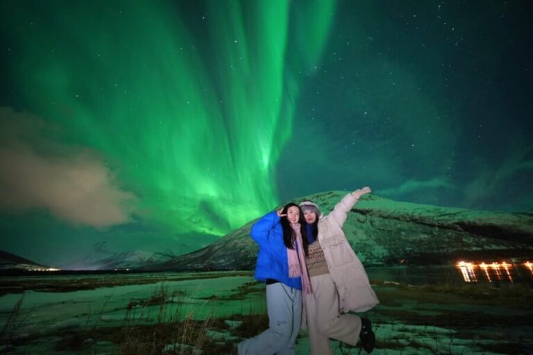 Tromso: Northern Lights Minibus Tour with Campfire - Who Is This Tour Best For?