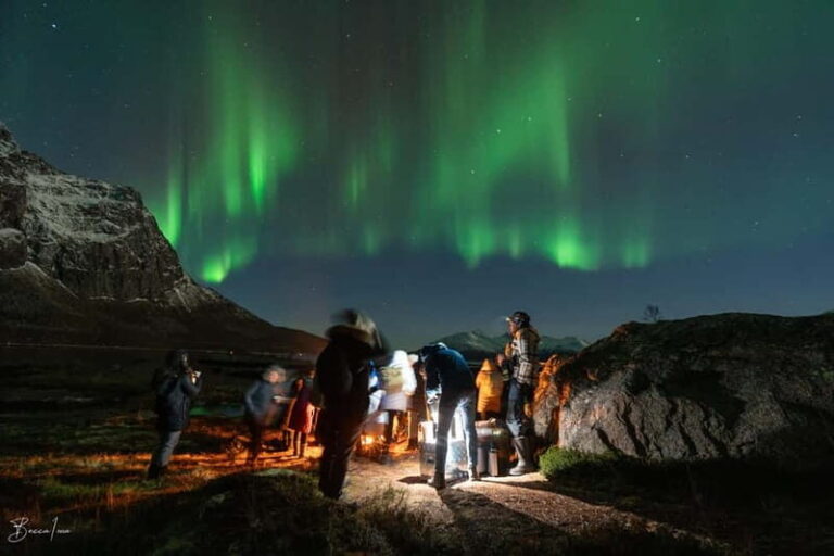 Tromsø: Northern Lights Safari w/ Experienced Guide & Photos - The Small Group Experience: Getting Closer to the Action