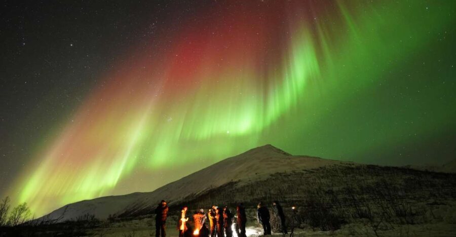 Tromsø: Northern Lights Tour with Free Professional Portrait - What Makes This Tour Stand Out?