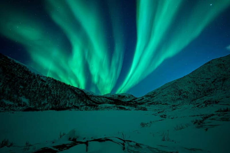 Tromsø: Northern Lights Tour with Hot Drinks and Snacks - The Sum Up