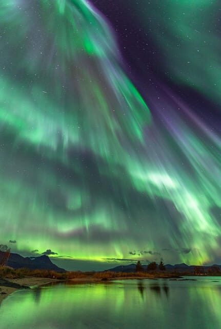 Tromsø: Northern Lights Tour with Local Guide and Photos - Who Will This Tour Suit Best?
