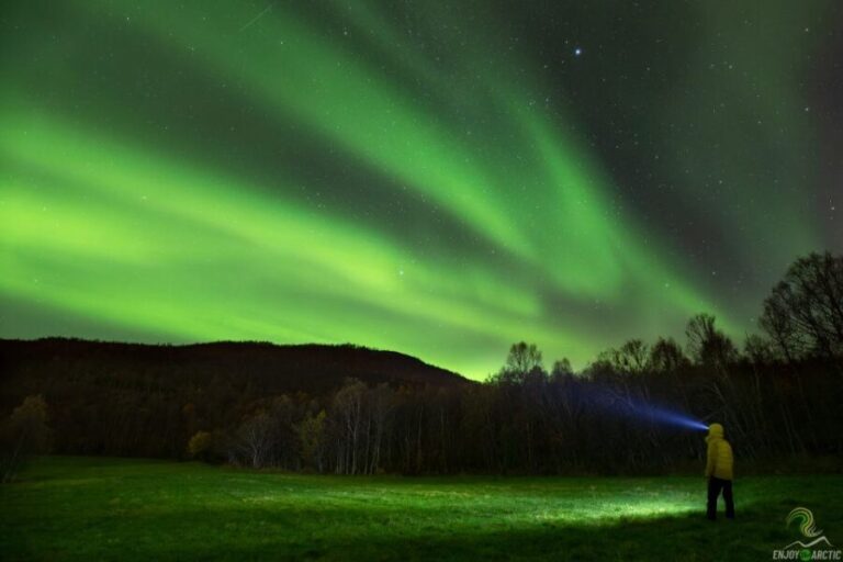 Tromsø: Northern Lights Trip with Campfire and Snacks - Who Will Enjoy This Tour?