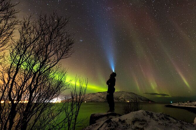 Tromsø Norway - Private northern lights tour with local guide - Who Will Love This Tour?