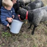 Tromsø: Norwegian farmvisit with guide - An In-Depth Look at the Tromsø Farm Visit Experience