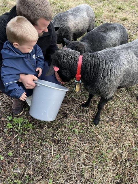 Tromsø: Norwegian farmvisit with guide - An In-Depth Look at the Tromsø Farm Visit Experience
