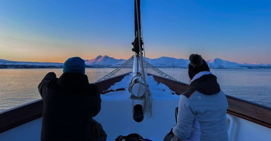 Tromsø: Polar Fjord Cruise on a Luxury Yacht with Lunch - What’s Included: Comfort and Convenience