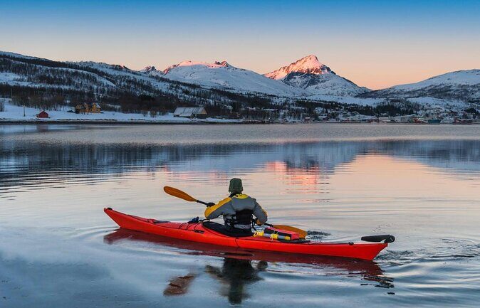 Tromso: Private Aurora Chase by Minivan - Who Should Book This Tour?