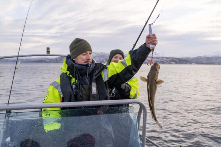 Tromsø: Private Fishing Tour - An In-Depth Look at the Tromsø Private Fishing Tour