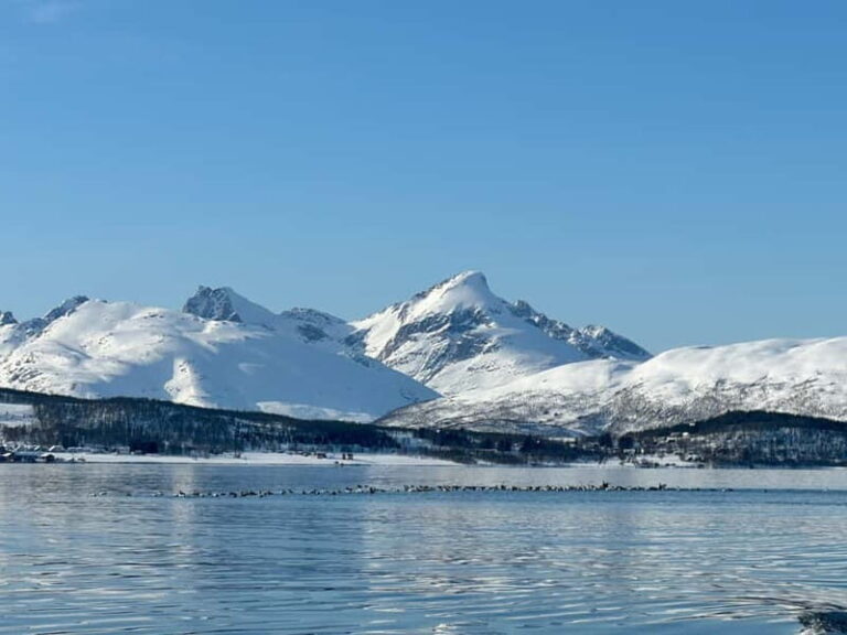 Tromsø: Private Fjord Boat Tour Around the City - The Route and Landmarks: What Makes It Special