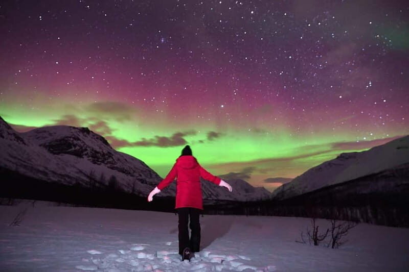 Tromsø: Private Northern Lights Tour with Pro Photographer - The Return and Drop-off