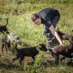 Tromsø: Puppy Training at the Husky Kennel with Lunch - Who Would Love This Tour?