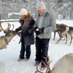 Tromsø: Reindeer Experience at a Sami Camp - A Closer Look at the Experience